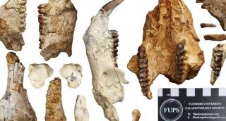 Resturile unui animal necunoscut i-au pus pe jar