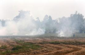 Aer "otrăvit" în Bangkok. Peste 1,3 milioane de persoane s-au îmbolnăvit iar 200.000 au fost spitalizate în ultima săptămână