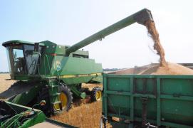 Noul ministru al Agriculturii din Polonia vrea controlale de calitate la graniță pentru cerealele din Ucraina