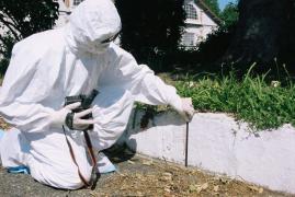 „Am auzit o bufnitură și l-am văzut jos, printre flori”. Un copil de 12 ani a murit, după ce a căzut de la etajul 6, în timp ce se afla în grija surorii lui, în Franţa