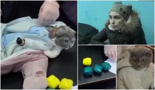 Pisică îmbrăcată în bebeluş, "traficantă" de droguri în Rusia. Detaliul care a dat-o de gol pe stăpâna felinei în faţa poliţiştilor