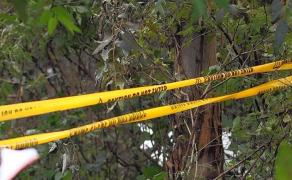 Adepţi ai unei secte, găsiţi morţi după ce au ținut post negru ca să-l întâlnească pe Iisus. Alți 11 credincioși au fost salvați din pădurea Shakahola, în Kenya