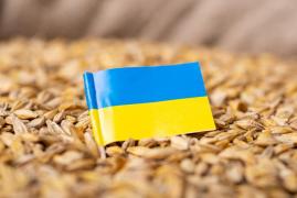 Bulgaria doreşte interzicerea importului de cereale din Ucraina