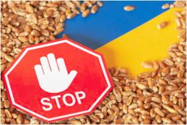 PSD va cere în coaliţie suspendarea importurilor de produse agro-alimentare din Ucraina