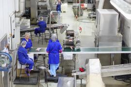 Jobul plătit cu 18 euro pe oră. Angajatorul norvegian oferă 70 de locuri de muncă şi asigură banii de chirie