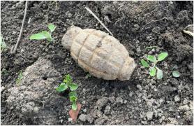 O grenadă care ar putea fi din Al Doilea Război Mondial, descoperită în grădina unui localnic din Olt
