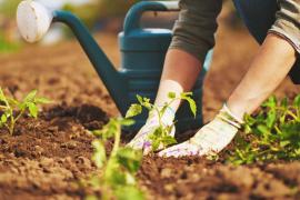 Tot ce ai nevoie pentru a face agricultură
