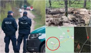 Resturi dintr-un obiect militar neidentificat, descoperite într-o pădure din Polonia. Ar fi o rachetă sol-aer