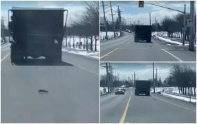 "Fug cu toții să se întoarcă acasă". Șobolani surprinși în timp ce săreau rând pe rând, în mers, dintr-un camion de gunoi. Imagini de coșmar pe o stradă din Canada