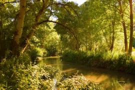 lac dintr-o pădure din Spania