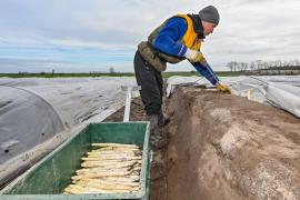 Piaţa forţei de muncă din Germania, unde lucrează 900.000 de români, va scădea semnificativ până în 2060