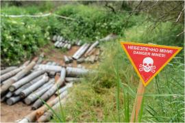 Ucraina va avea nevoie de 20 de ani ca să îşi redobândească puterea în agricultură