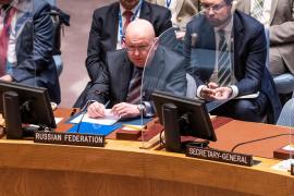 Ambasadorul Rusiei la ONU