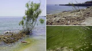 plajă din apropiere de Odesa