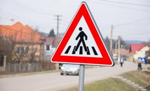 Situaţie ieşită din comun în Satu Mare: mai multe indicatoare rutiere au fost furate şi transformate în ţăruşi la vie