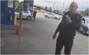 Şarpe de aproape 2 metri, găsit într-un peco din Drobeta. Reptila, încolăcită pe cablurile de alimentare ale unei pompe de benzină