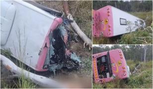 Sfârşit neobişnuit pentru un şofer din Australia. A "zburat" cu autobuzul în afara drumului după ce s-a izbit în două cămile rătăcite