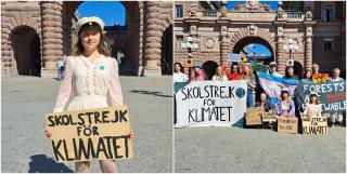 Greta Thunberg îşi încetează emblematica grevă la liceu. Tânăra activistă a absolvit: "Lupta abia acum începe"