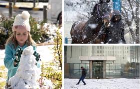 Johannesburg, peisaj de poveste cu prima ninsoare în 11 ani. Oamenii, impresionaţi de peisaj: "Magie pură"