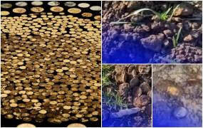 S-a dus să îşi sape porumbul şi a dat peste o adevărată comoară: Peste 700 de monede din aur și argint datând din perioada Războiului Civil au fost găsite de american