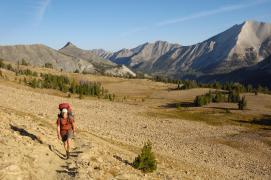 Descoperirea, făcută în Munţii Stâncoşi din SUA