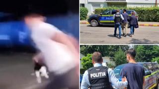 tânăr reținut după ce și-a bătut joc de o pisică, în Rădăuți