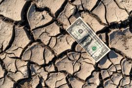 Dolarul american este în pierdere de turaţie de aproape două săptămâni