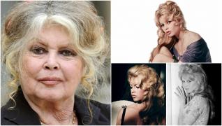 Brigitte Bardot, probleme de respiraţie din cauza caniculei. Medicii de pe ambulanţă au intervenit la timp, deşi iniţial au primit o adresă greşită
