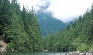 Adolescentă de 16 ani, găsită la doua zile după ce a dispărut în sălbăticia unui parc provincial