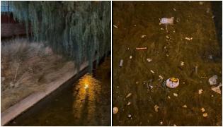 Focar de infecţie într-o zonă din Mamaia. Semnal de alarmă tras de directorul ANPC: "Ciudat cum de nu mai ajung turiștii!?"