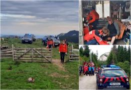 Un bărbat a fost atacat de un urs la o stână din Dâmboviţa