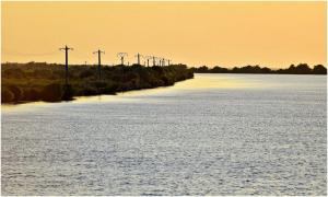 Femeie însărcinată și un bărbat, salvați de poliţiştii de frontieră dintr-o barcă aflată în derivă pe Dunăre