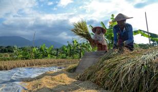 Un sat indonezian a pus gând rău tehnologiei. De ce vor localnicii să taie internetul