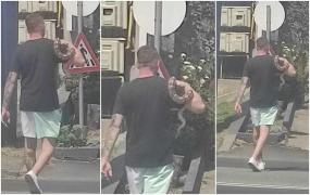 Cu pitonul pe umăr, la plimbare prin oraş. Un bărbat din Târgu Jiu a şocat trecătorii mergând nestingherit cu "animalul lui de companie"