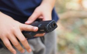 O avocată din Prahova, acuzată că a cumpărat puşti şi pistoale pentru copiii săi. Minorii de 7 şi 10 ani trăgeau zilnic în păsări