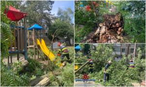 Copil de 10 ani, rănit de un copac căzut peste un loc de joacă