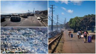 Incendiile de vegetaţie din Hawaii