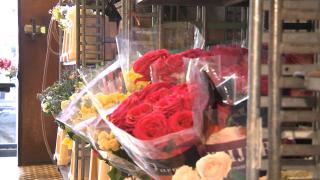 O femeie din Bucureşti, prisă în flagrant în timp ce încerca să fure flori în valoare de 10.000 de lei