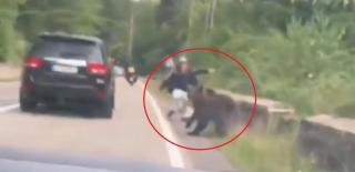 "Dacă voia, îl făcea bucăți". Un turist a scăpat cu viaţă după ce a vrut să hrănească ursul pe Transfăgărăşan: animalul l-a pus jos, dar nu a continuat atacul
