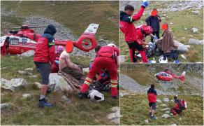 Bărbat muşcat de ureche de o viperă, în Parâng. Un elicopter SMURD l-a transportat de urgenţă de spitalul din Sibiu