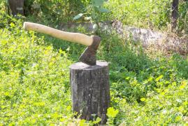 „Îmi ascut toporul, iar când vin acasă, te elimin”. Ameninţată cu moartea de propria soră, la telefon. Caz terifiant în Alba