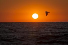 um va fi vremea la mare în septembrie 2023