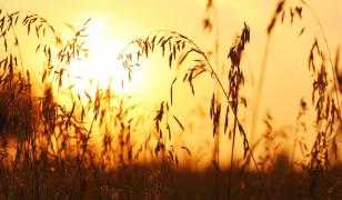 Record cu "consecinţe dezastruoase". Iulie 2023 a fost confirmată drept cea mai călduroasă lună înregistrată vreodată