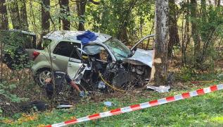 O șoferiță și-a condus intenționat copiii într-un copac, apoi i-a atacat cu un cuțit, pe un drum din Germania. Un alt șofer și iubita lui au oprit vărsarea de sânge