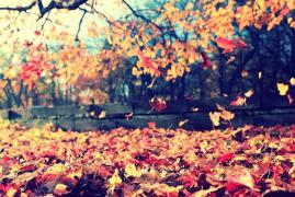 Vremea de mâine 16 septembrie. Nu scăpăm de ploi, iar temperaturile vor scădea în sudul şi sud-estul ţării