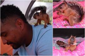 Un bărbat a străbătut peste 4.000 de km cu cel mai bun prieten al lui, o veveriţă. Ajunşi la graniţa cu SUA, trebuie să îşi ia rămas bun: "Sper să nu mă uite"