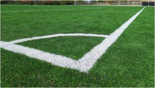 Meci din Mexic, întrerupt după ce un cățeluș a intrat pe teren, a luat mingea şi nu a mai vrut să îi dea drumul