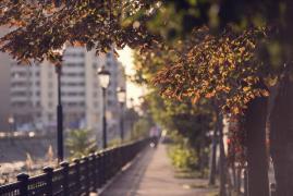 Vremea de mâine 1 octombrie. Va fi extrem de cald pentru această perioadă în sudul şi sud-estul ţării. În restul regiunilor, temperaturile vor mai scădea