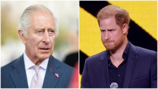 Regele Charles al III-lea al Marii Britanii și Irlandei de Nord și prințul Harry, duce de Sussex