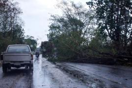 6 județe intră în această seară sub avertizare de cod galben de vânt puternic. Vor fi rafale de de 55-65 km/h